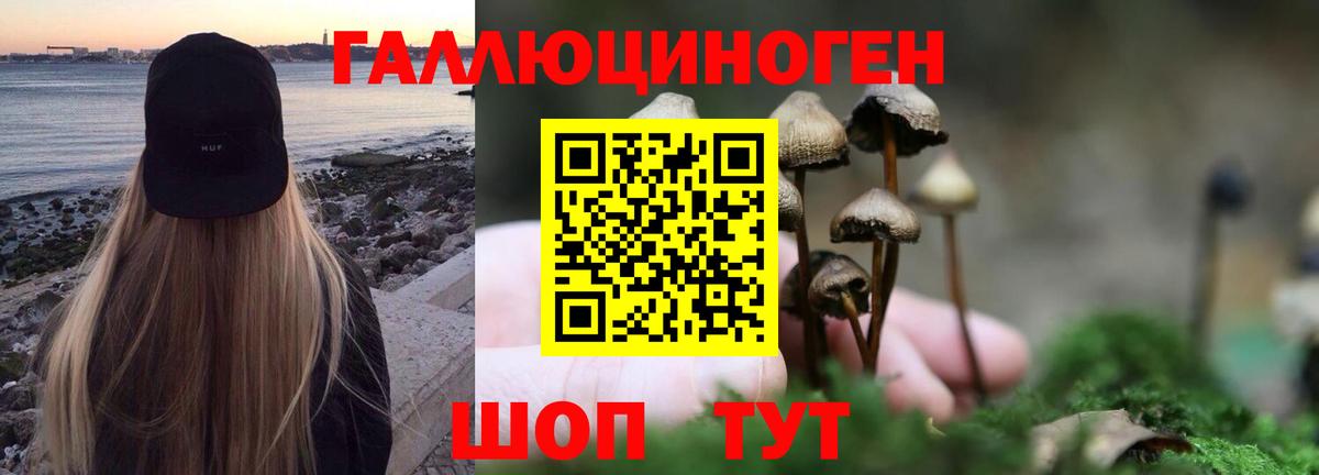 Ярцево  Псилоцибиновые грибы GOLDEN TEACHER  Вход с VPN  Галлюциногенные грибы мицелий 